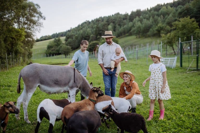 Portrait of farmer family petting animals on their farm